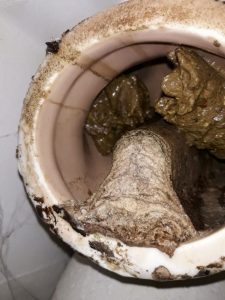 Zugesetzter WC Ablauf nach unten.