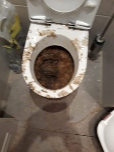 Übergelaufenes WC wegen einer Strangverstopfung.