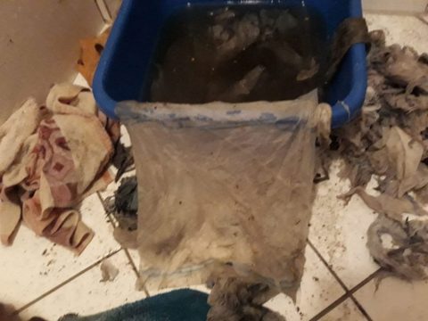 Ausbeute an feuchtem WC-Papier.