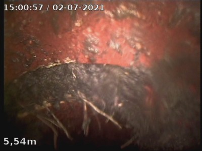 Bruch mit Wurzeleinwuchs